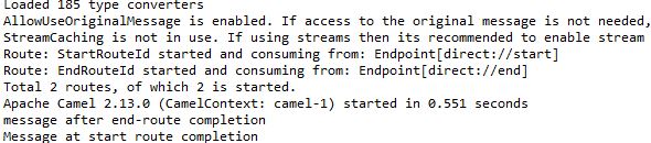 apache camel direct component output