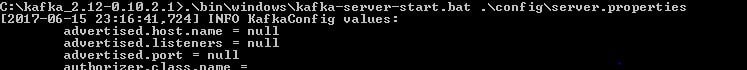Spring Boot Apache Kafka
