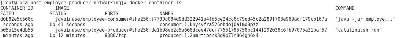 Docker swarm containers