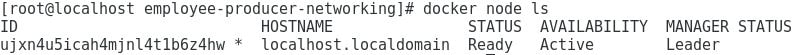 Docker swarm node