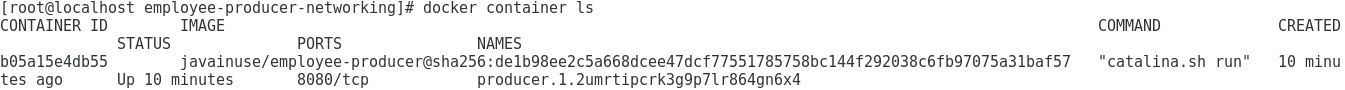 Docker swarm container