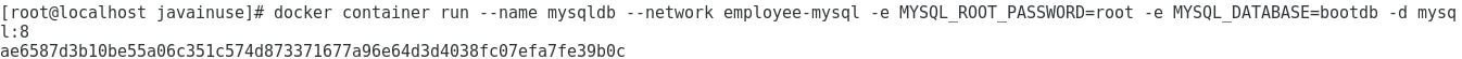 spring boot mysql docker start container