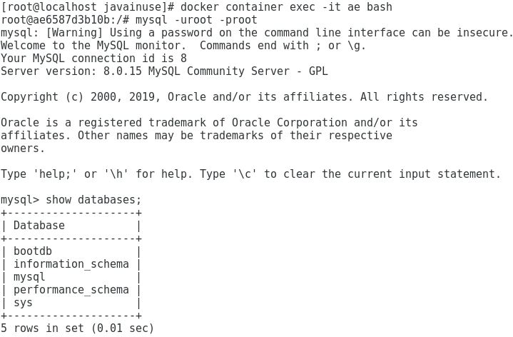 spring boot mysql docker container exec