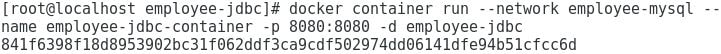 spring boot mysql docker container image run