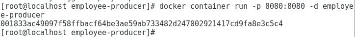 docker-boot-conatiner-start