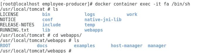 docker-container-exec