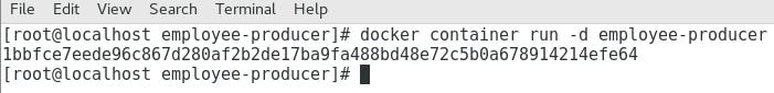 Docker Run Image as Container