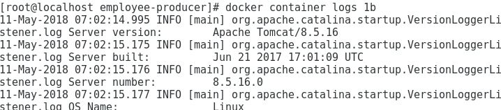 Docker get producer logs