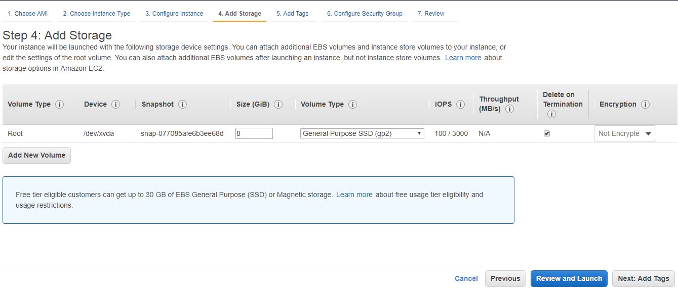 Amazon Linux Storage setting