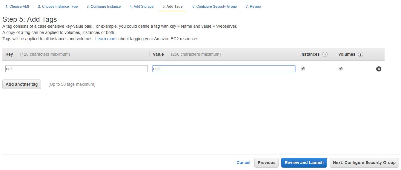 Amazon Linux Tags section