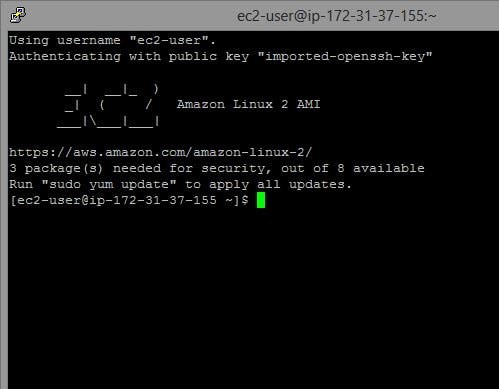 EC2 instance using putty