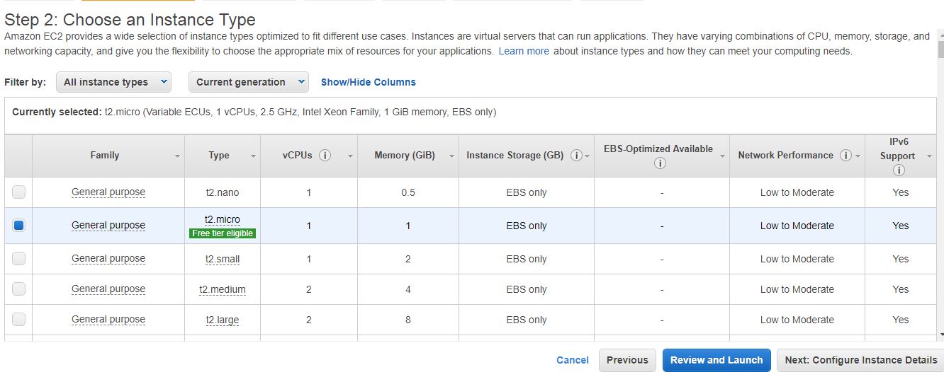 Amazon Linux Instance Type