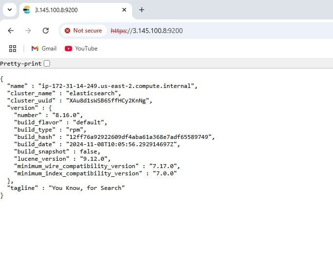 elasticsearch https