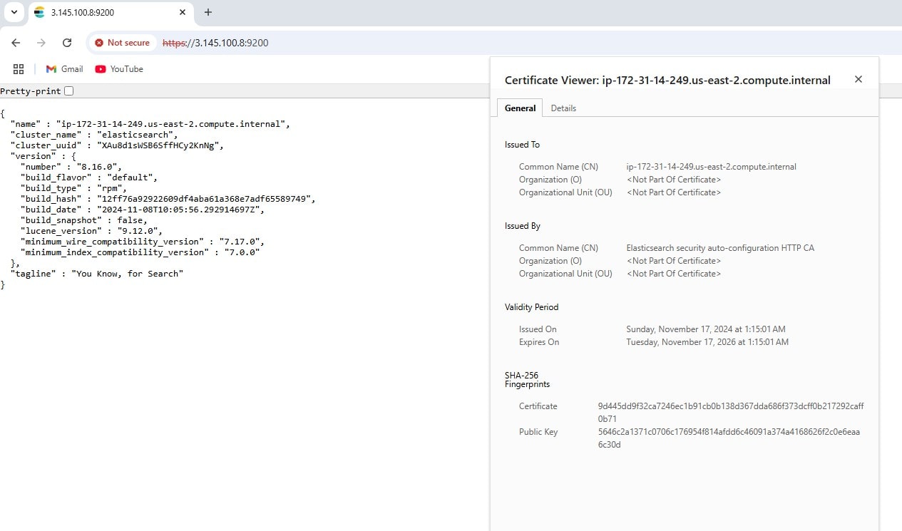 elasticsearch https