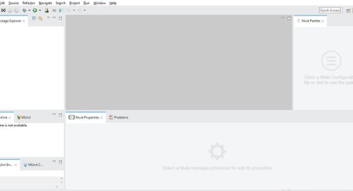 First Mule Application