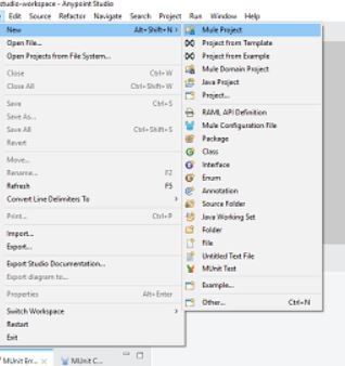 First Mule Application