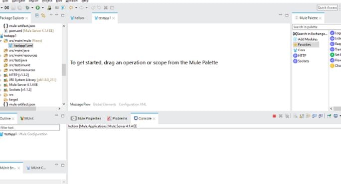 First Mule Application