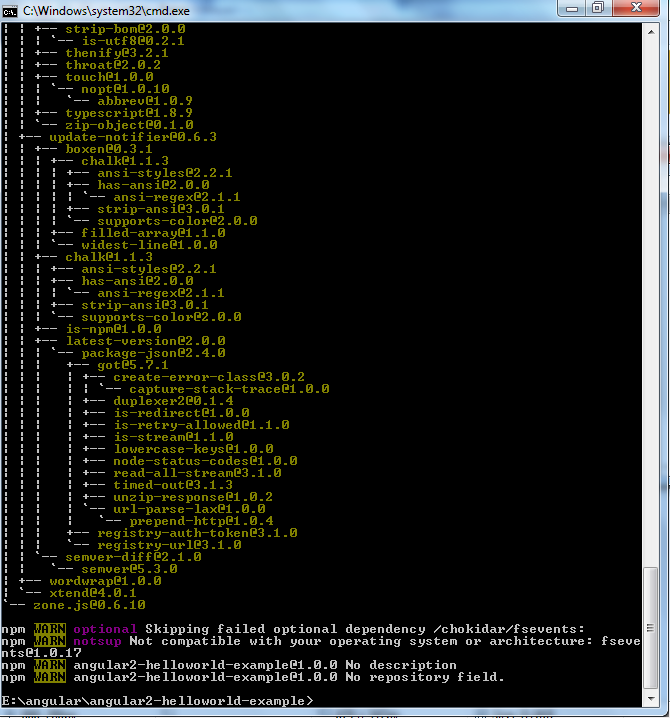 npm-install-1