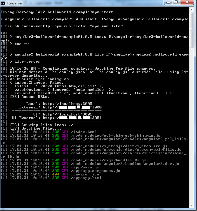 npm-start
